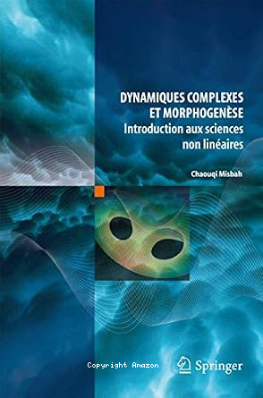 Dynamiques complexes et morphogenèse vignette