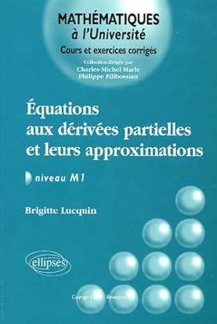 équations aux dérivées partielles et leurs approximations vignette