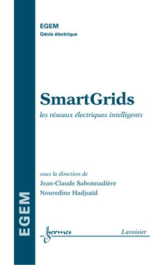 SmartGrids vignette