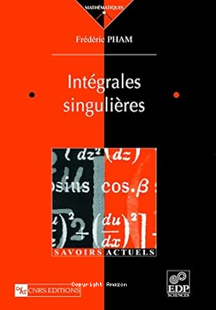 Intégrales singulières vignette
