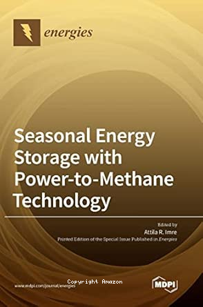 Seasonal Energy Storage with Power-to-Methane Technology vignette